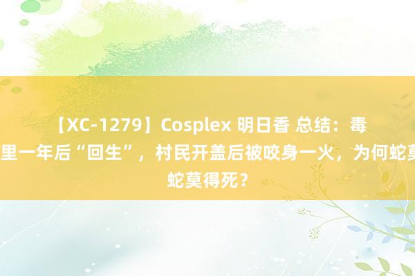 【XC-1279】Cosplex 明日香 总结：毒蛇在酒里一年后“回生”，村民开盖后被咬身一火，为何蛇莫得死？