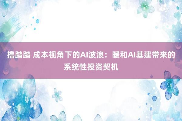 撸踏踏 成本视角下的AI波浪：暖和AI基建带来的系统性投资契机