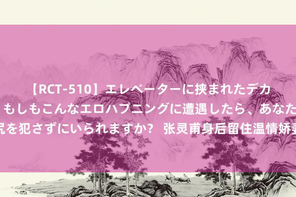 【RCT-510】エレベーターに挟まれたデカ尻女子校生をガン突き もしもこんなエロハプニングに遭遇したら、あなたは目の前の尻を犯さずにいられますか？ 张灵甫身后留住温情娇妻，蒋经国居心不良，作念了一件痛苦事