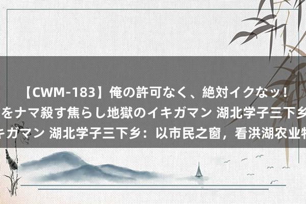 【CWM-183】俺の許可なく、絶対イクなッ！！！！！ 2 早漏オンナをナマ殺す焦らし地獄のイキガマン 湖北学子三下乡：以市民之窗，看洪湖农业特产