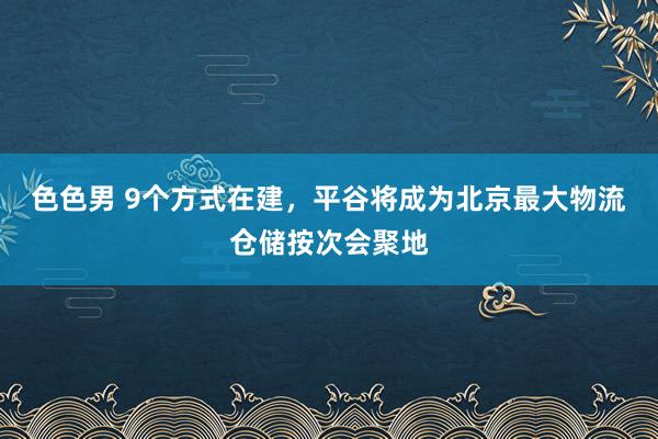 色色男 9个方式在建，平谷将成为北京最大物流仓储按次会聚地