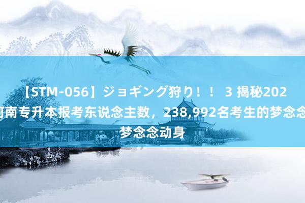 【STM-056】ジョギング狩り！！ 3 揭秘2024年河南专升本报考东说念主数，238，992名考生的梦念念动身