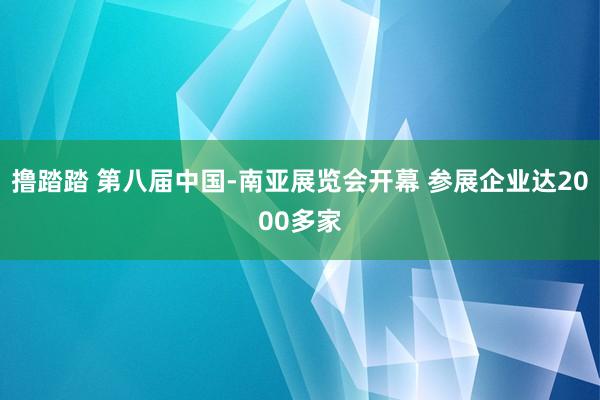 撸踏踏 第八届中国-南亚展览会开幕 参展企业达2000多家