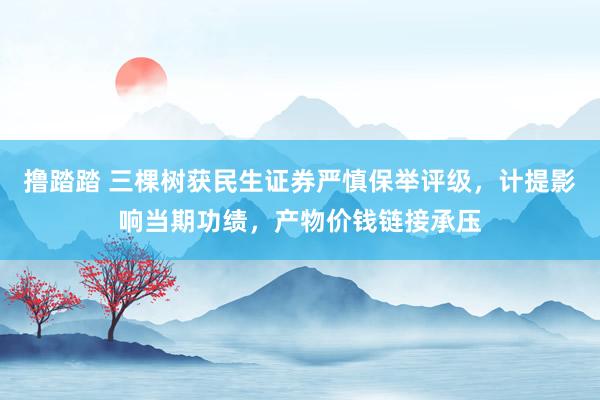 撸踏踏 三棵树获民生证券严慎保举评级，计提影响当期功绩，产物价钱链接承压