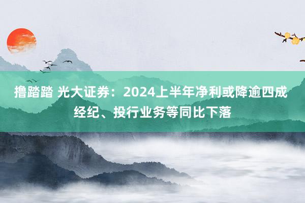 撸踏踏 光大证券：2024上半年净利或降逾四成 经纪、投行业务等同比下落