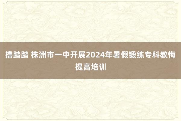 撸踏踏 株洲市一中开展2024年暑假锻练专科教悔提高培训