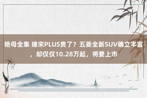 艳母全集 嫌宋PLUS贵了？五菱全新SUV确立丰富，却仅仅10.28万起，将要上市