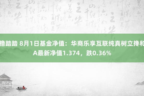 撸踏踏 8月1日基金净值：华商乐享互联纯真树立搀和A最新净值1.374，跌0.36%