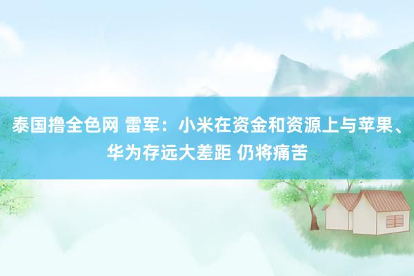 泰国撸全色网 雷军：小米在资金和资源上与苹果、华为存远大差距 仍将痛苦