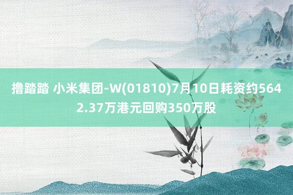 撸踏踏 小米集团-W(01810)7月10日耗资约5642.37万港元回购350万股