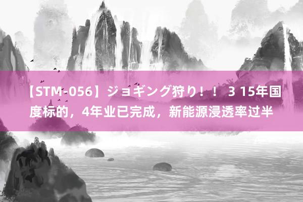 【STM-056】ジョギング狩り！！ 3 15年国度标的，4年业已完成，新能源浸透率过半