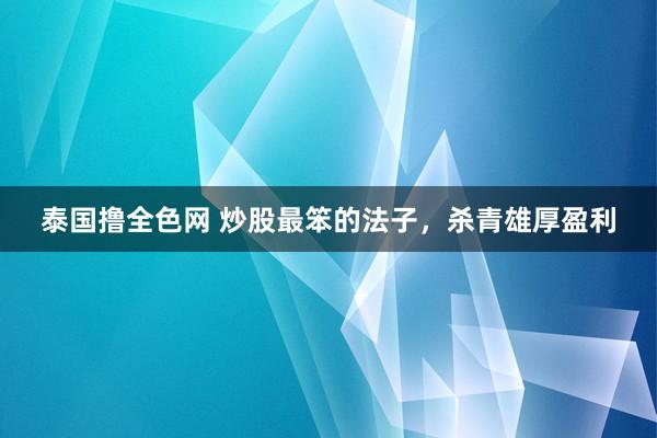 泰国撸全色网 炒股最笨的法子，杀青雄厚盈利