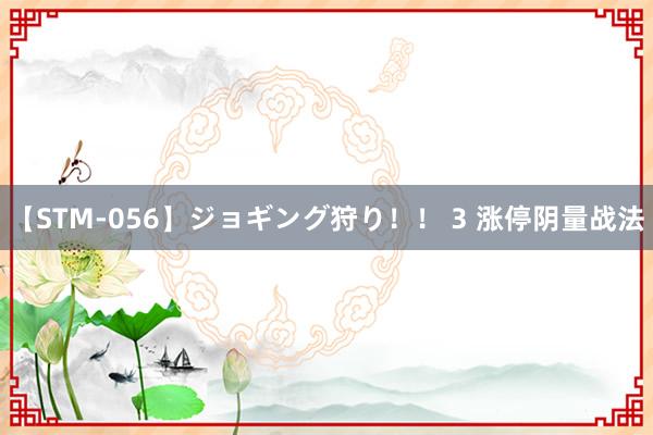 【STM-056】ジョギング狩り！！ 3 涨停阴量战法