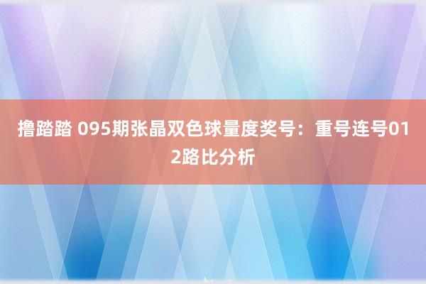 撸踏踏 095期张晶双色球量度奖号：重号连号012路比分析