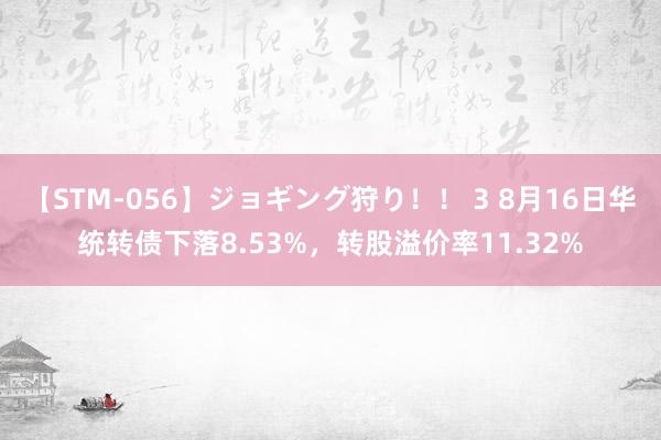 【STM-056】ジョギング狩り！！ 3 8月16日华统转债下落8.53%，转股溢价率11.32%