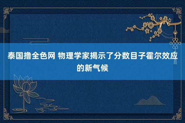 泰国撸全色网 物理学家揭示了分数目子霍尔效应的新气候