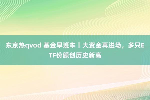 东京热qvod 基金早班车丨大资金再进场，多只ETF份额创历史新高