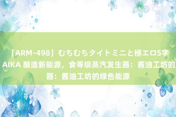 【ARM-498】むちむちタイトミニと極エロS字ライン 2 AIKA 酿造新能源，食等级蒸汽发生器：酱油工坊的绿色能源