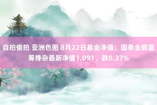 自拍偷拍 亚洲色图 8月22日基金净值：国泰金鹏蓝筹搀杂最新净值1.091，跌0.37%