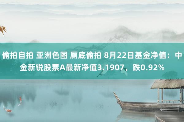 偷拍自拍 亚洲色图 厕底偷拍 8月22日基金净值：中金新锐股票A最新净值3.1907，跌0.92%