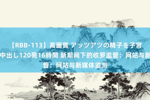 【RBB-113】高画質 アッツアツの精子を子宮に孕ませ中出し120発16時間 新期间下的收罗监管：网站与新媒体监测