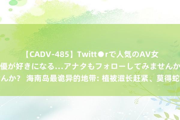 【CADV-485】Twitt●rで人気のAV女優 SNSでますますAV女優が好きになる…アナタもフォローしてみませんか？ 海南岛最诡异的地带: 植被滋长赶紧、莫得蛇虫网络、电器无故失灵