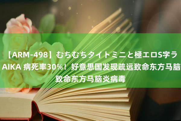 【ARM-498】むちむちタイトミニと極エロS字ライン 2 AIKA 病死率30%！好意思国发现疏远致命东方马脑炎病毒