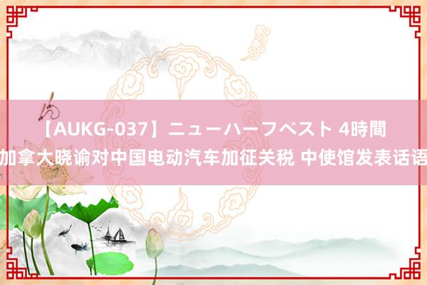 【AUKG-037】ニューハーフベスト 4時間 加拿大晓谕对中国电动汽车加征关税 中使馆发表话语