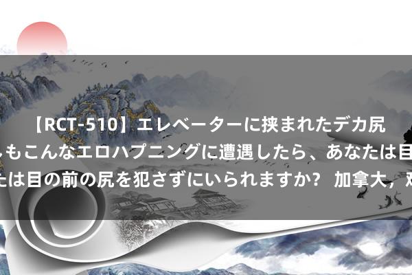 【RCT-510】エレベーターに挟まれたデカ尻女子校生をガン突き もしもこんなエロハプニングに遭遇したら、あなたは目の前の尻を犯さずにいられますか？ 加拿大，难怪被骂了个狗血淋头