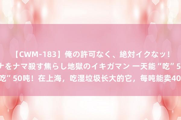 【CWM-183】俺の許可なく、絶対イクなッ！！！！！ 2 早漏オンナをナマ殺す焦らし地獄のイキガマン 一天能“吃”50吨！在上海，吃湿垃圾长大的它，每吨能卖4000元，还供不应求…