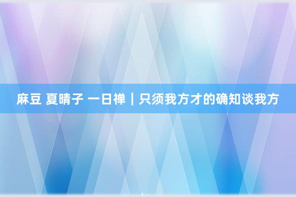 麻豆 夏晴子 一日禅｜只须我方才的确知谈我方