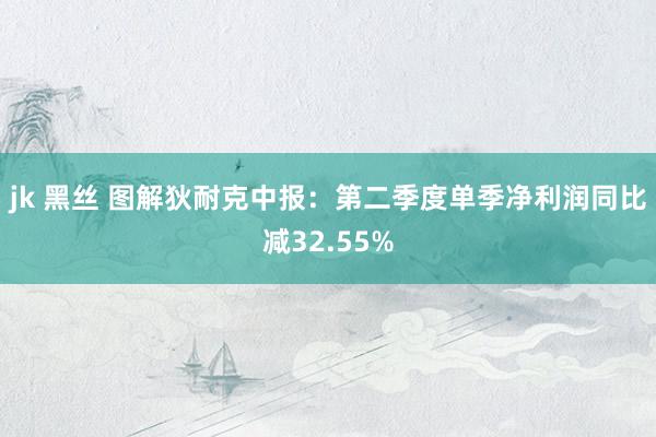 jk 黑丝 图解狄耐克中报：第二季度单季净利润同比减32.55%