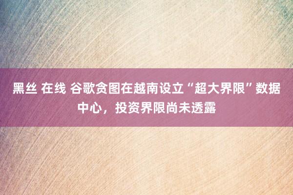 黑丝 在线 谷歌贪图在越南设立“超大界限”数据中心，投资界限尚未透露