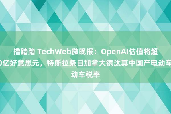 撸踏踏 TechWeb微晚报：OpenAI估值将超1000亿好意思元，特斯拉条目加拿大镌汰其中国产电动车税率