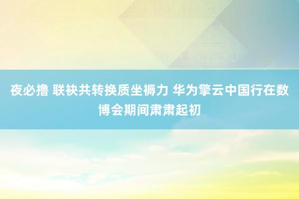 夜必撸 联袂共转换质坐褥力 华为擎云中国行在数博会期间肃肃起初