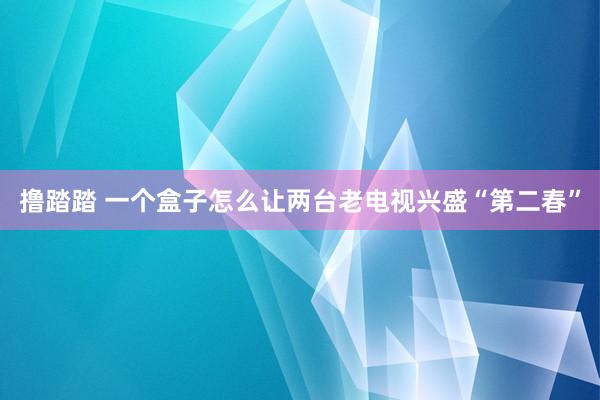 撸踏踏 一个盒子怎么让两台老电视兴盛“第二春”