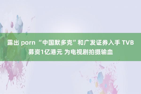 露出 porn “中国默多克”和广发证券入手 TVB募资1亿港元 为电视剧拍摄输血