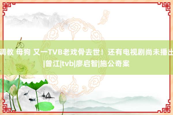 调教 母狗 又一TVB老戏骨去世！还有电视剧尚未播出|曾江|tvb|廖启智|施公奇案