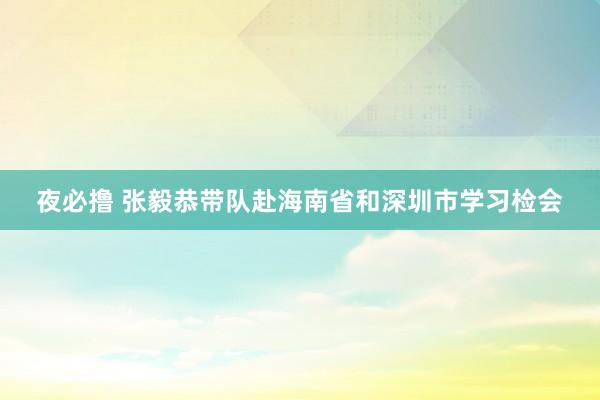 夜必撸 张毅恭带队赴海南省和深圳市学习检会