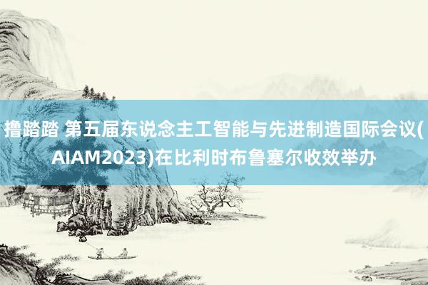 撸踏踏 第五届东说念主工智能与先进制造国际会议(AIAM2023)在比利时布鲁塞尔收效举办