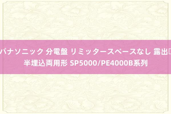 パナソニック 分電盤 リミッタースペースなし 露出・半埋込両用形 SP5000/PE4000B系列