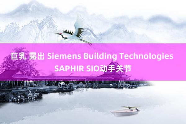 巨乳 露出 Siemens Building Technologies SAPHIR SIO动手关节