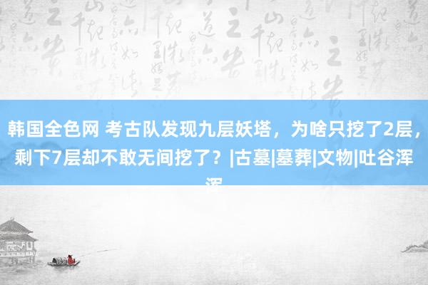 韩国全色网 考古队发现九层妖塔，为啥只挖了2层，剩下7层却不敢无间挖了？|古墓|墓葬|文物|吐谷浑