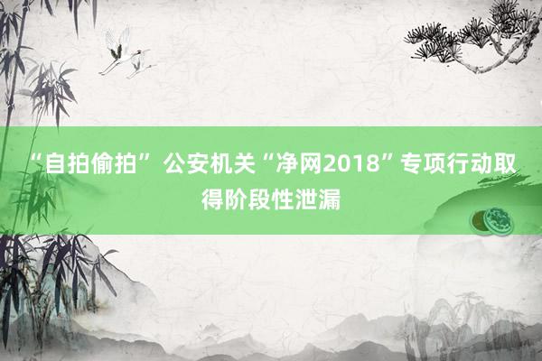 “自拍偷拍” 公安机关“净网2018”专项行动取得阶段性泄漏