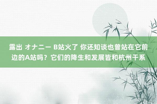 露出 オナニー B站火了 你还知谈也曾站在它前边的A站吗？它们的降生和发展皆和杭州干系