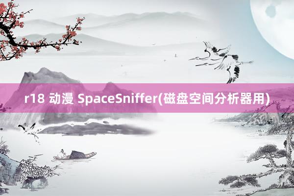 r18 动漫 SpaceSniffer(磁盘空间分析器用)