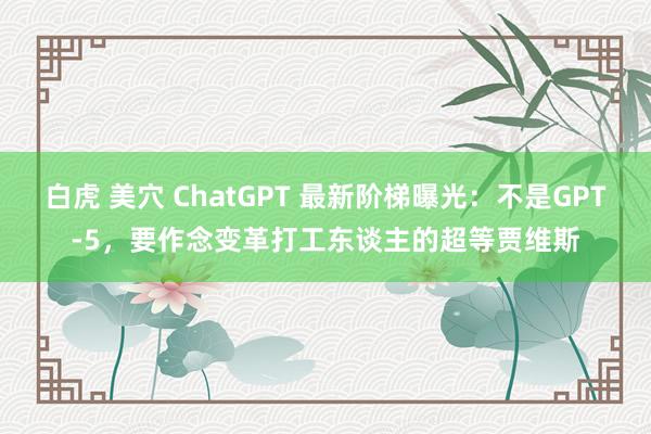 白虎 美穴 ChatGPT 最新阶梯曝光：不是GPT-5，要作念变革打工东谈主的超等贾维斯